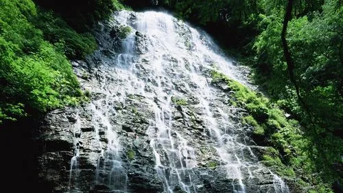 科技稳定性
